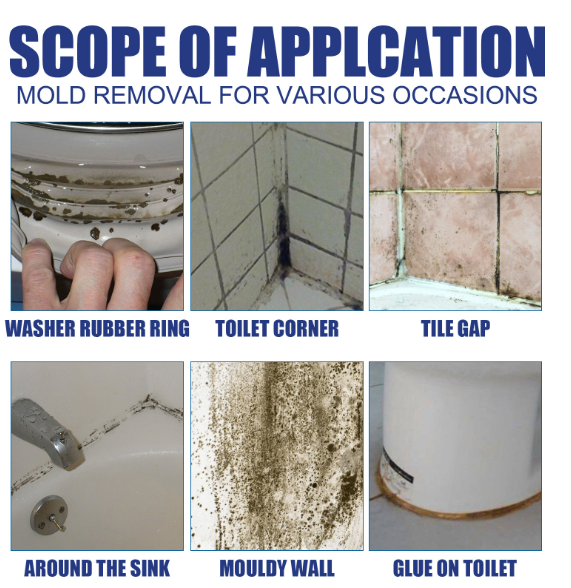 Anti Mould Spray | Removes Black Mould Fast